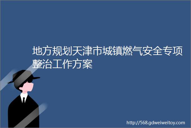 地方规划天津市城镇燃气安全专项整治工作方案